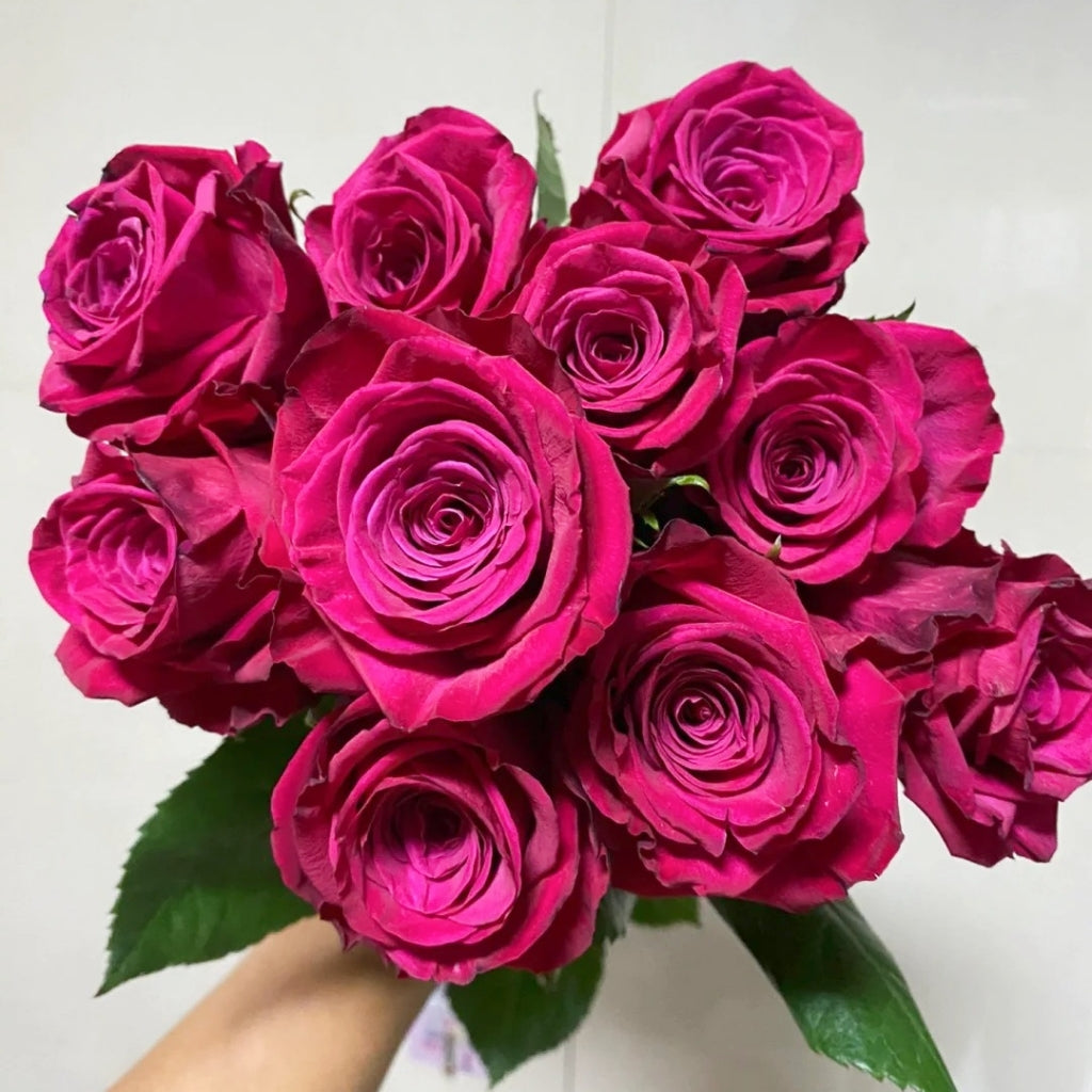 Roseberry Rose