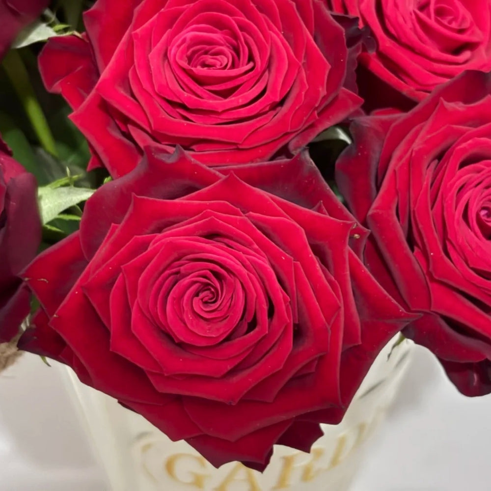 Sarinah! Rose