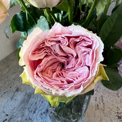 Senlitsu Rose