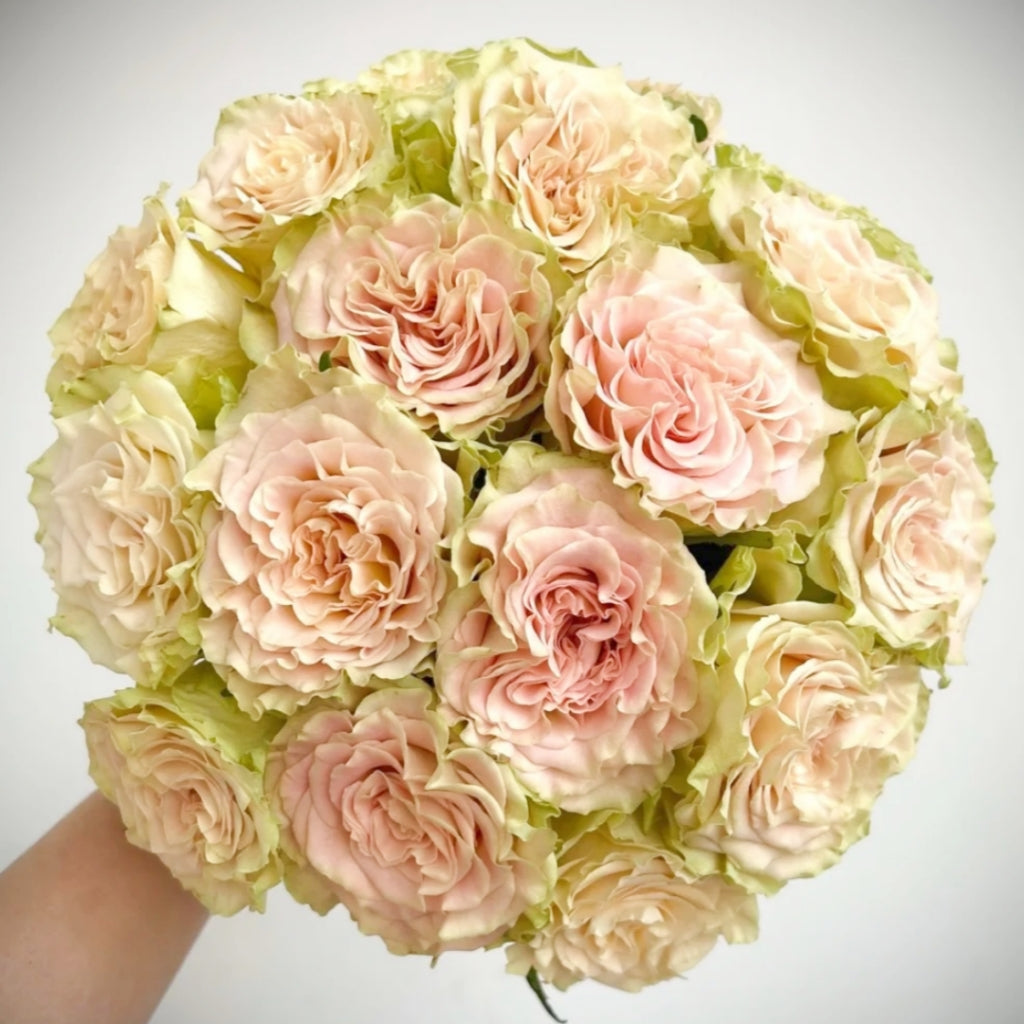 Shangguan Wan Er Rose