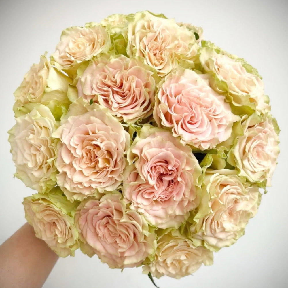 Shangguan Wan Er Rose