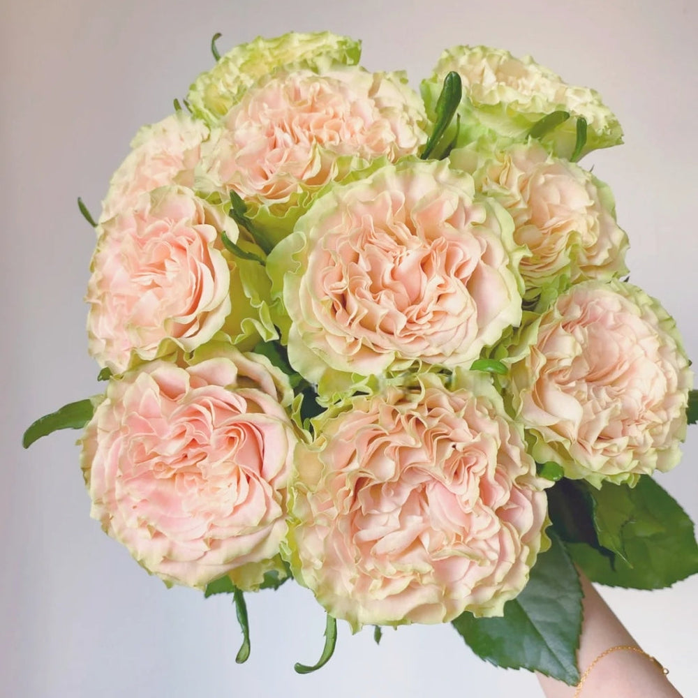 Shangguan Wan Er Rose
