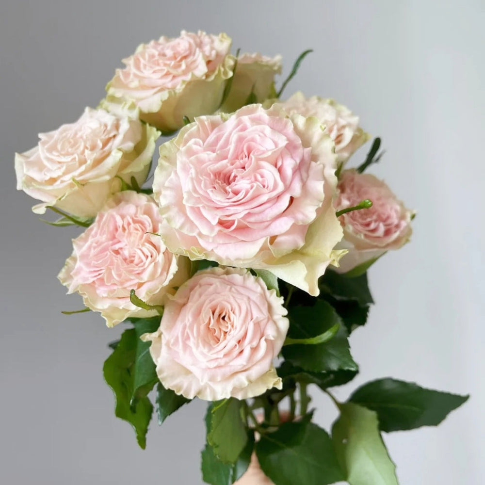 Shangguan Wan Er Rose