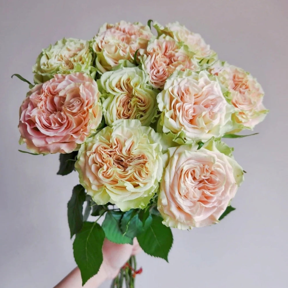 Shangguan Wan Er Rose
