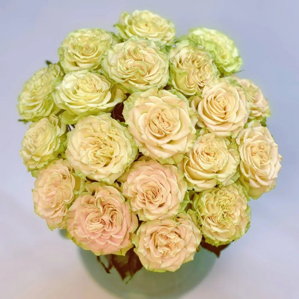 Shangguan Wan Er Rose