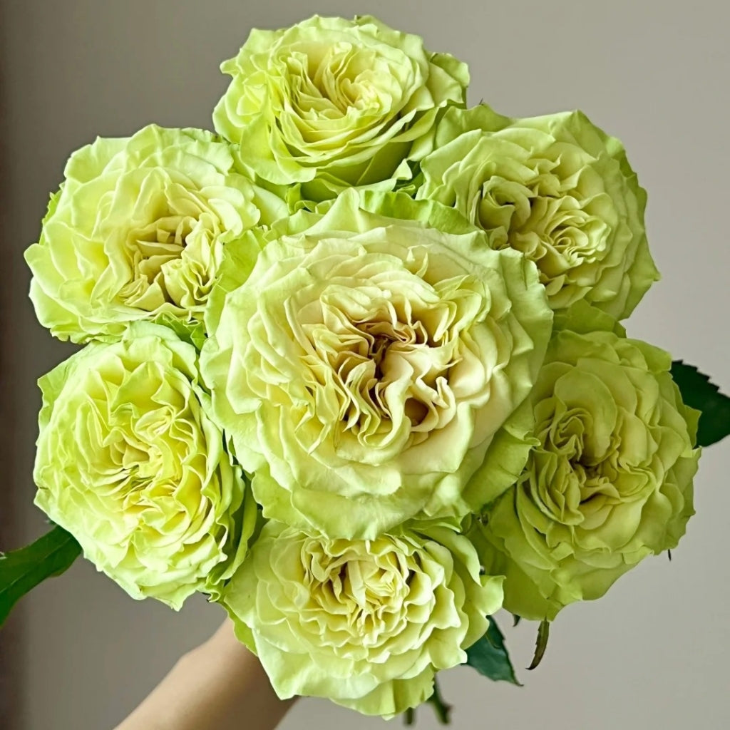 Shangguan Wan Er Rose