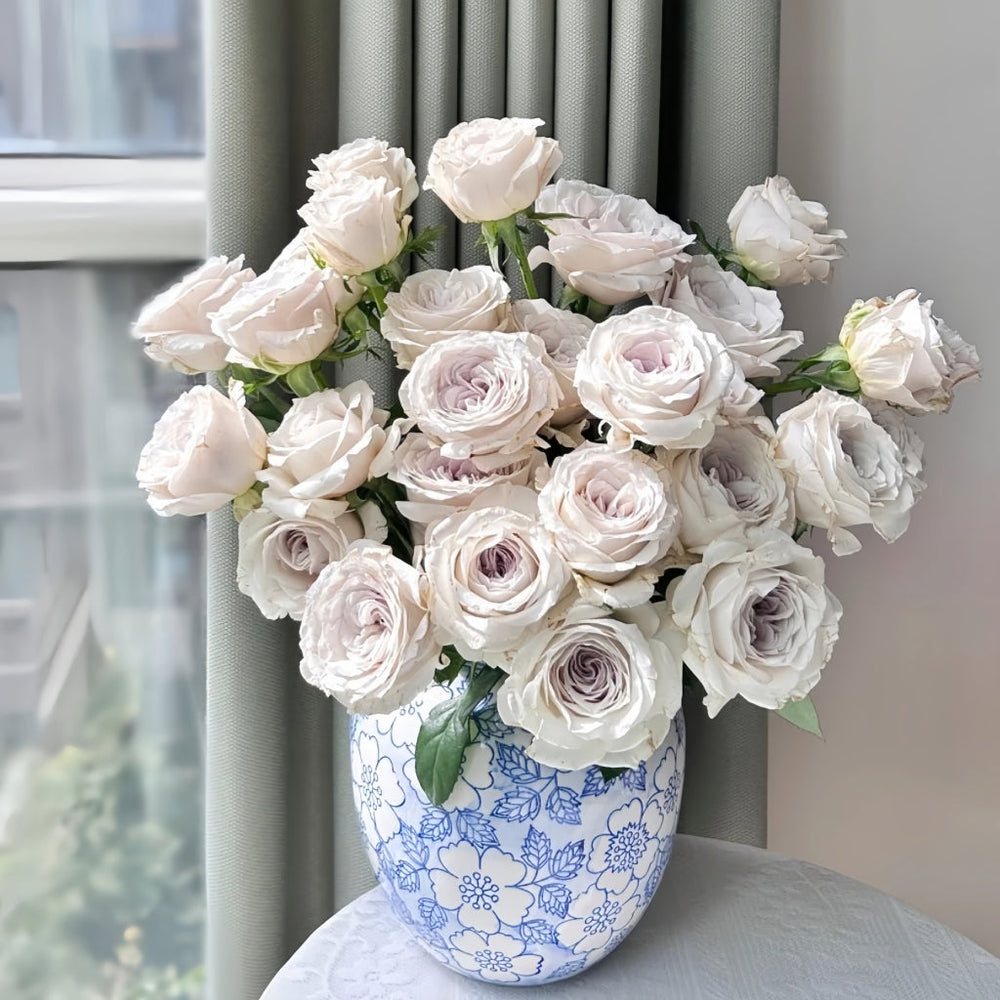 Silver Lining Rose