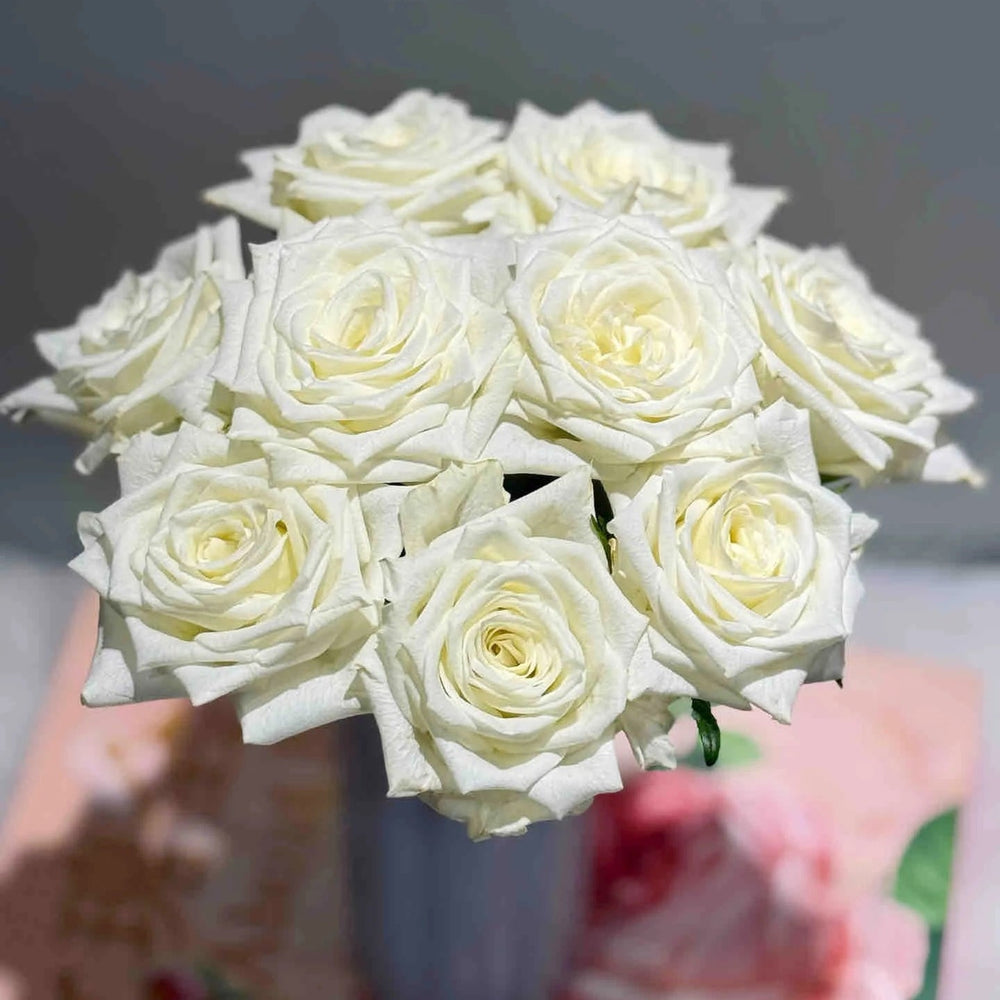 Snowdon Rose