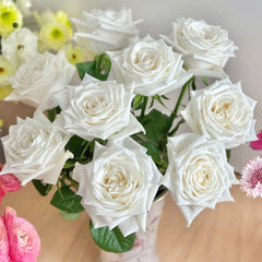 Snowdon Rose