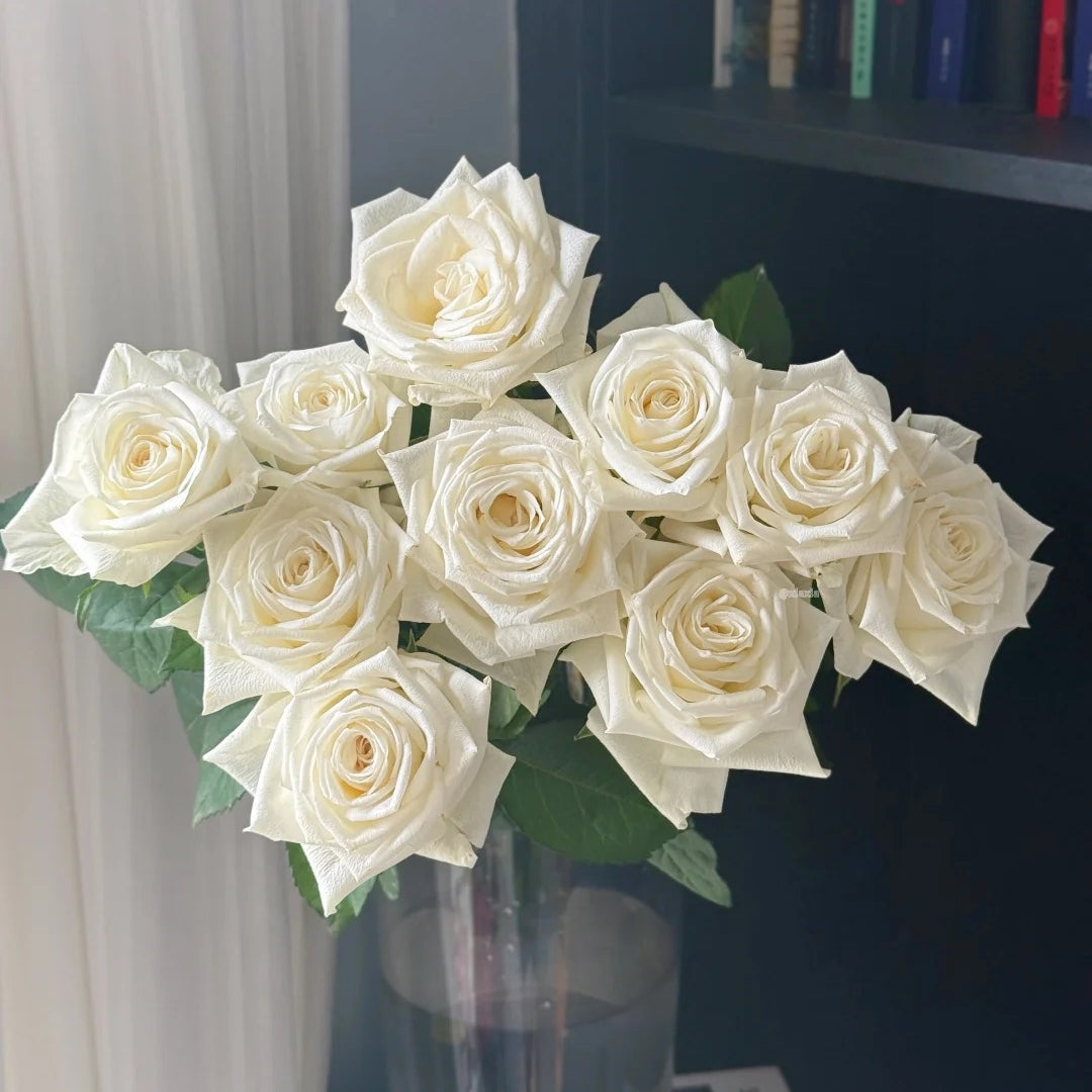 Snowdon Rose