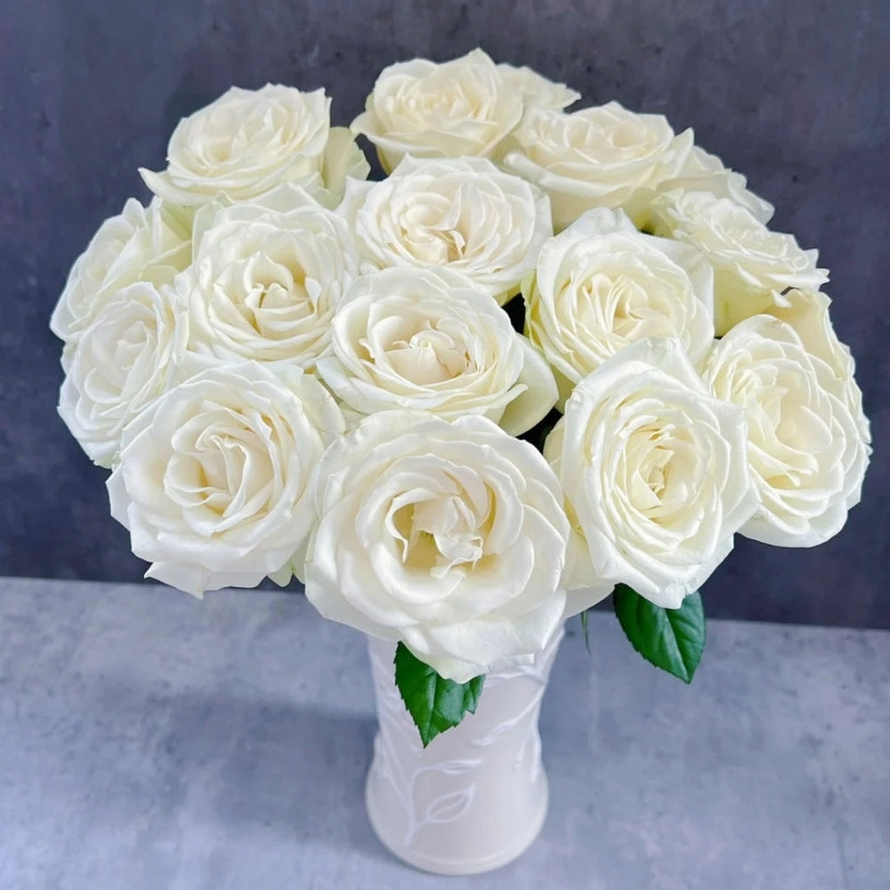 Snowstorm Rose