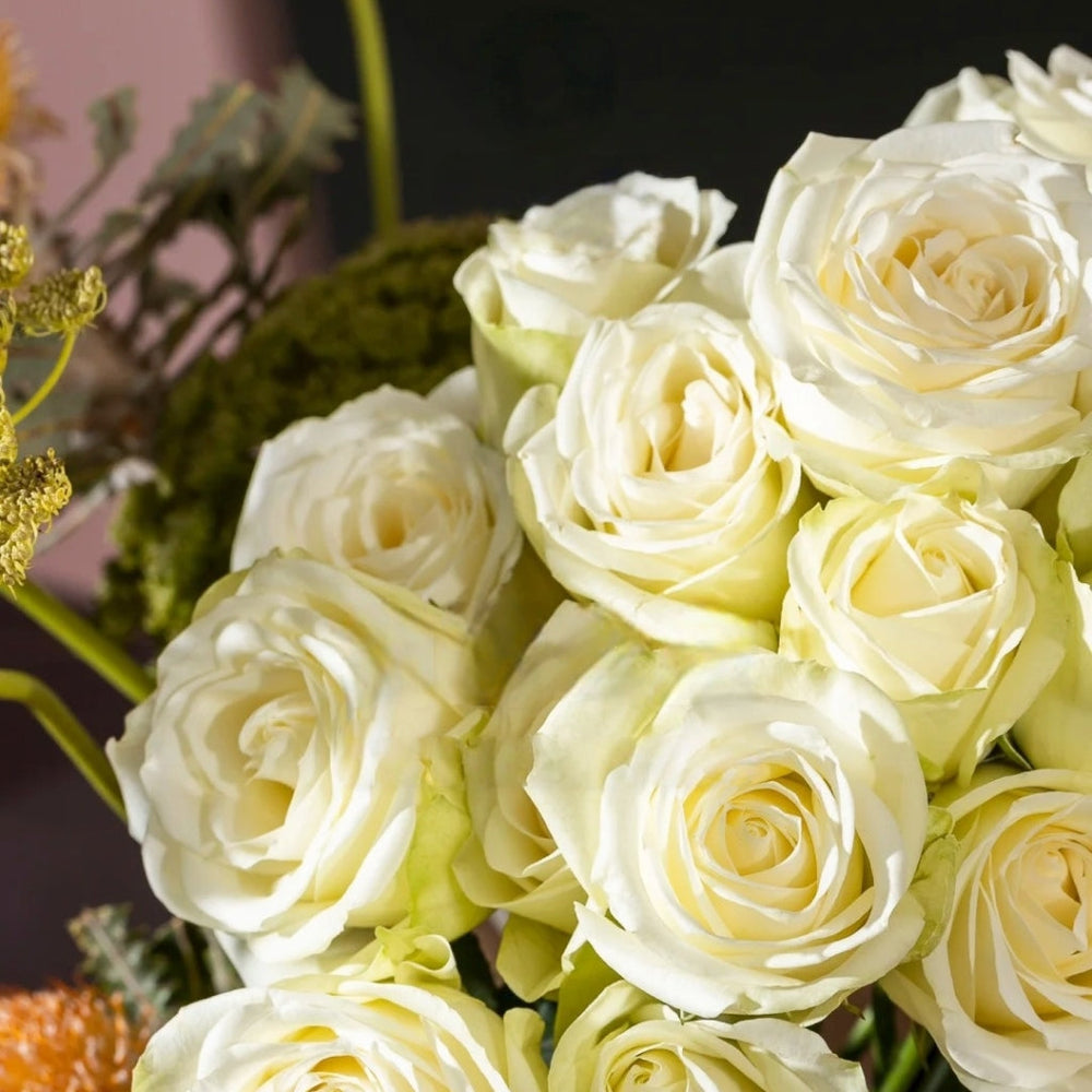 Snowstorm Rose