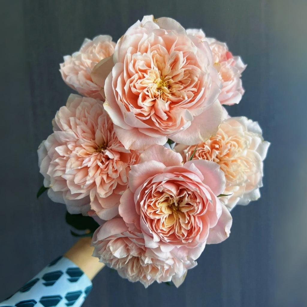 Sorahana Rose