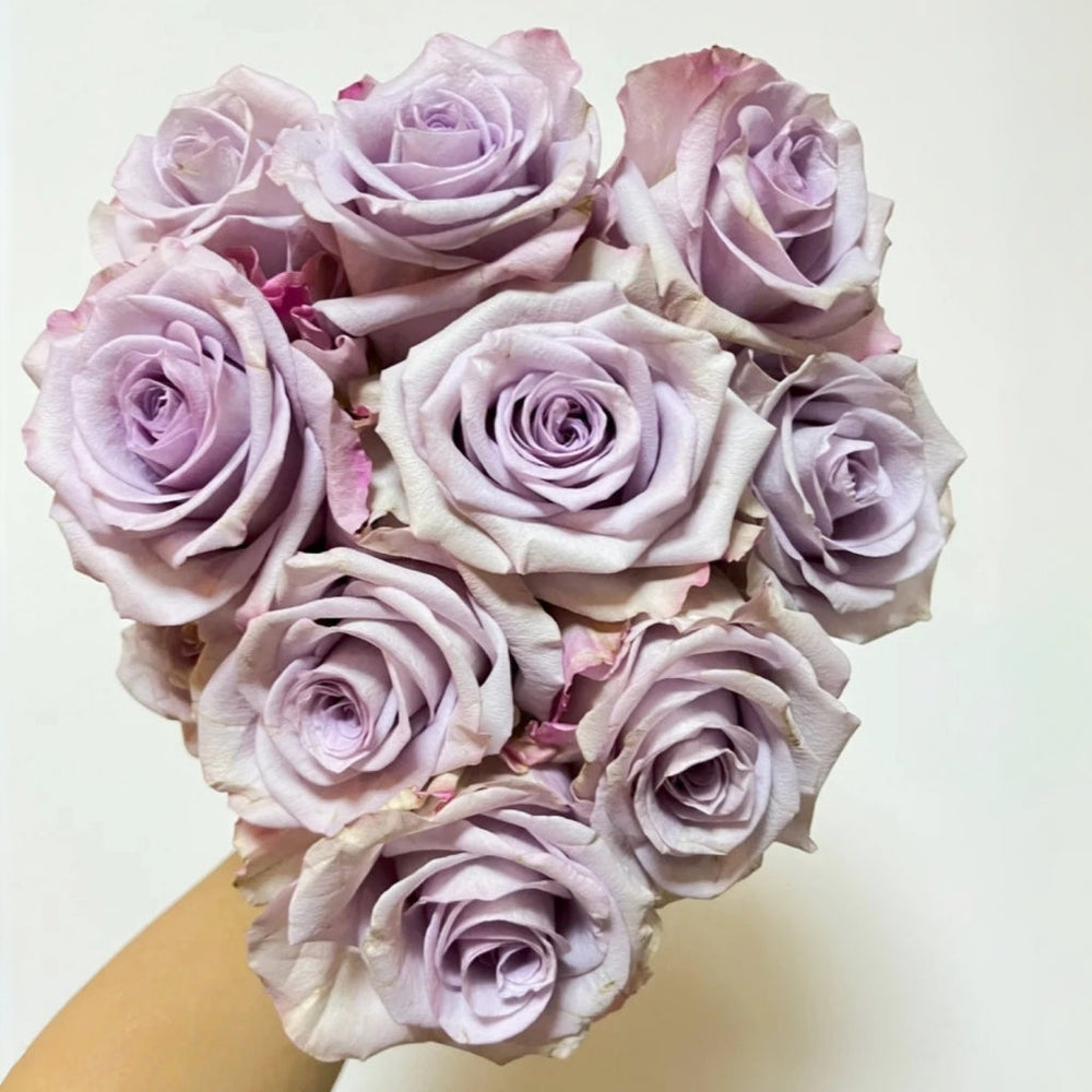 Star Platinum Rose