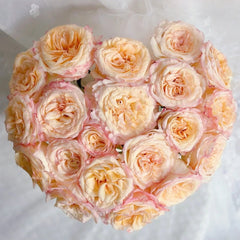 Stylist Rose