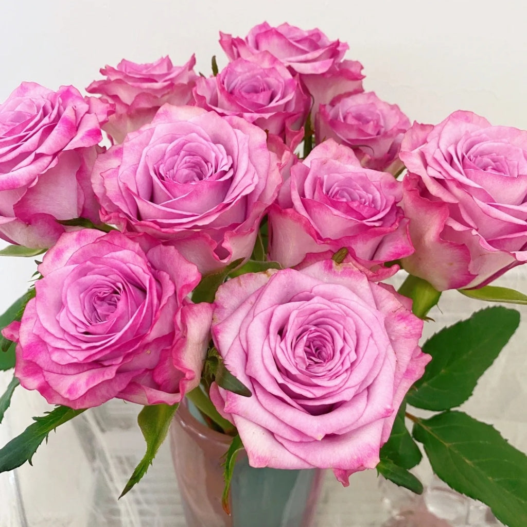 Su Mei Zi Rose