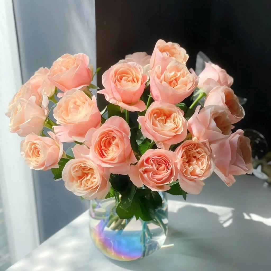 Summer Love Rose