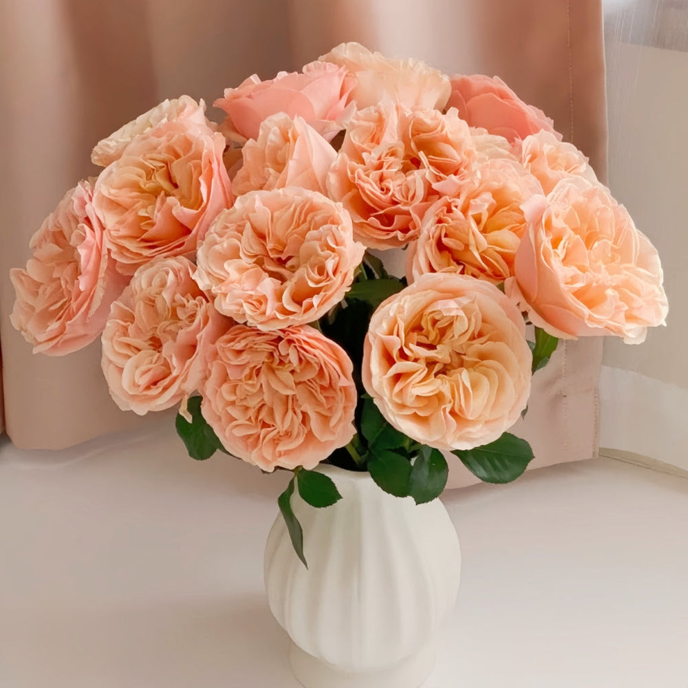 Summer Love Rose