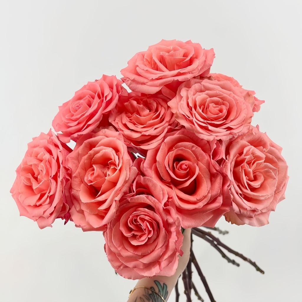 Superstition Rose