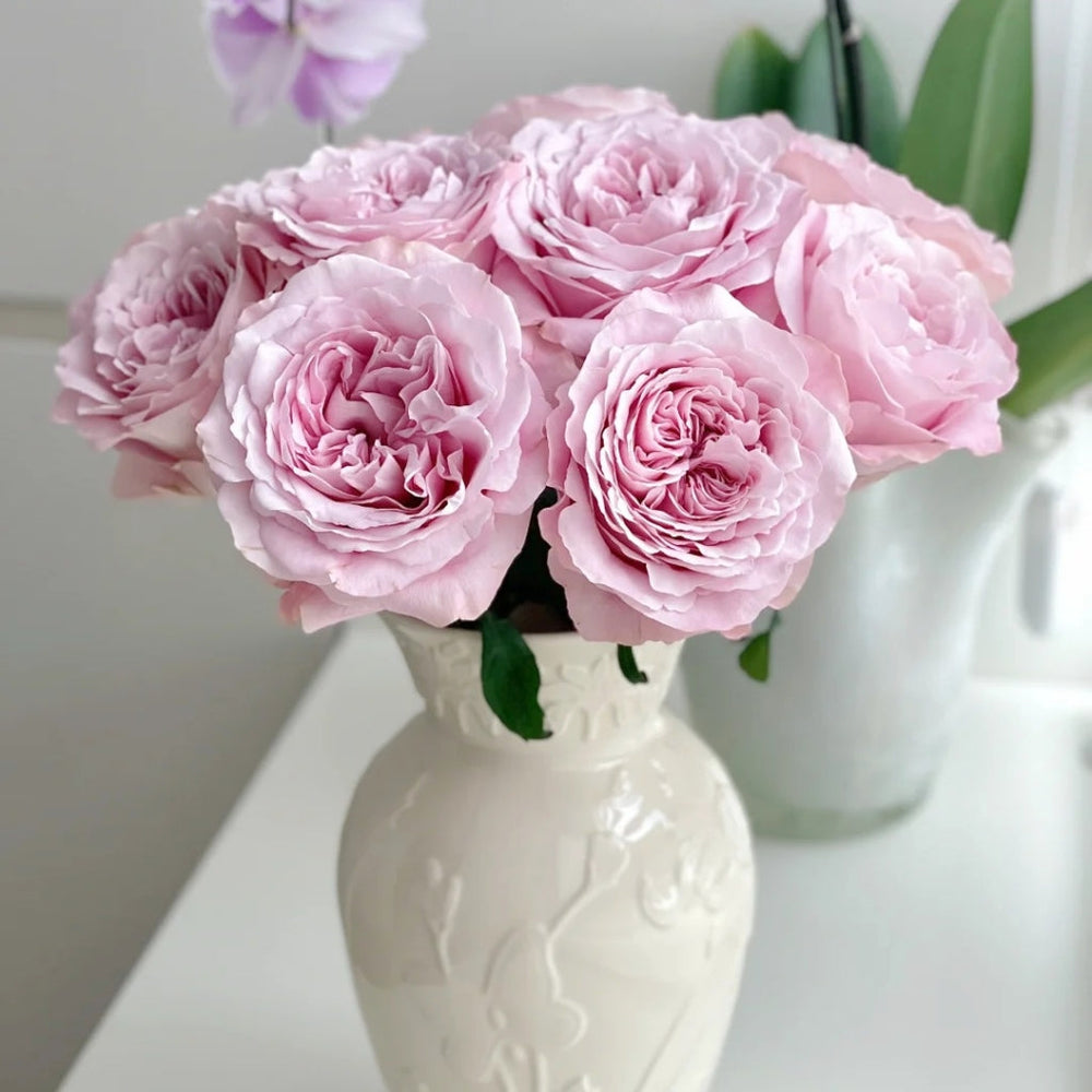 Sweet 4 Love Rose