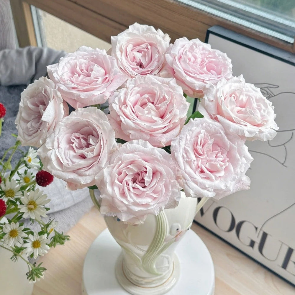 Sweet 4 Love Rose
