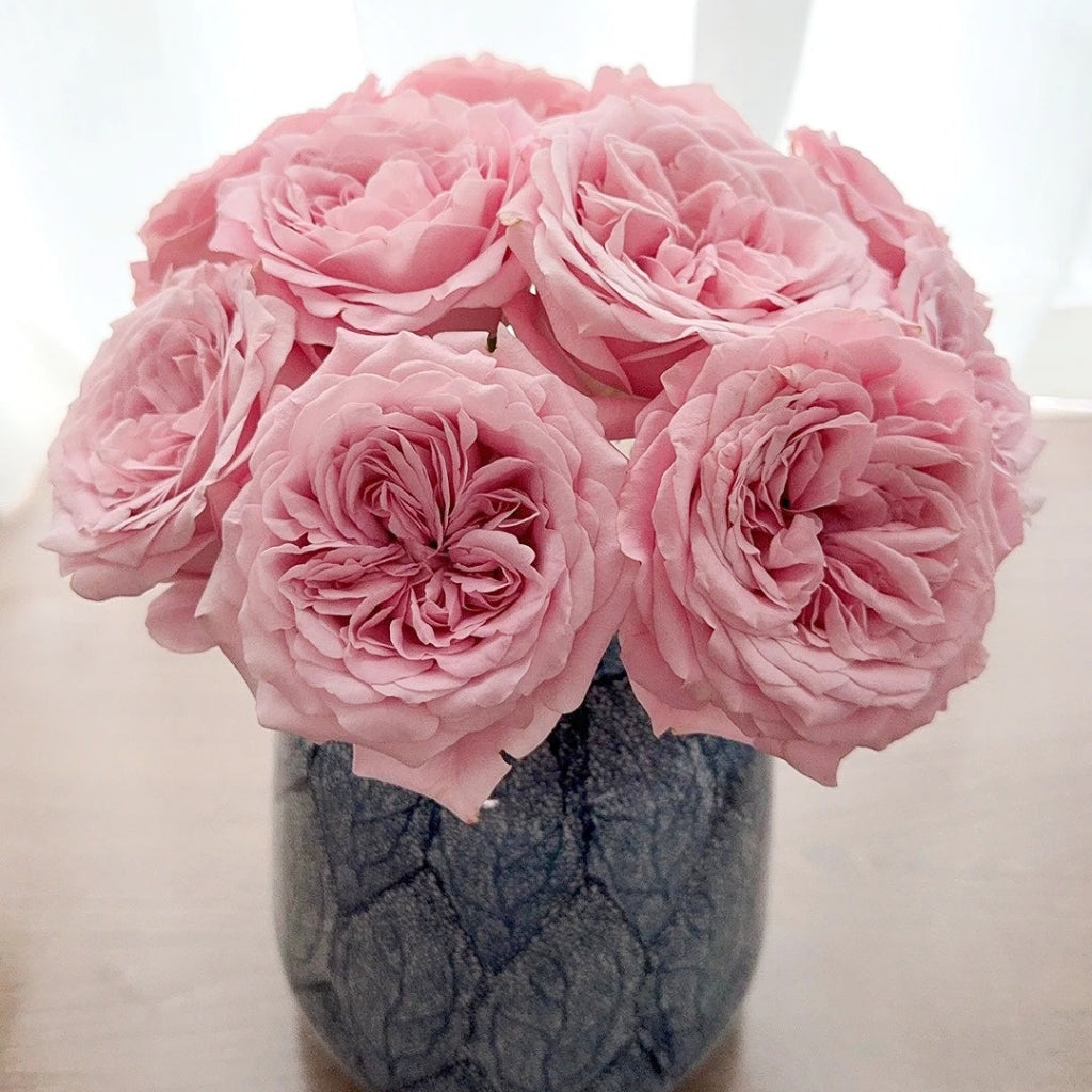 Sweet 4 Love Rose