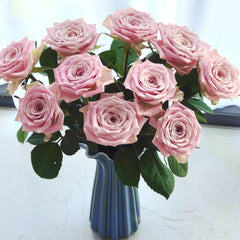 Sweet Lady Rose