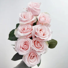 Sweet Beat Rose