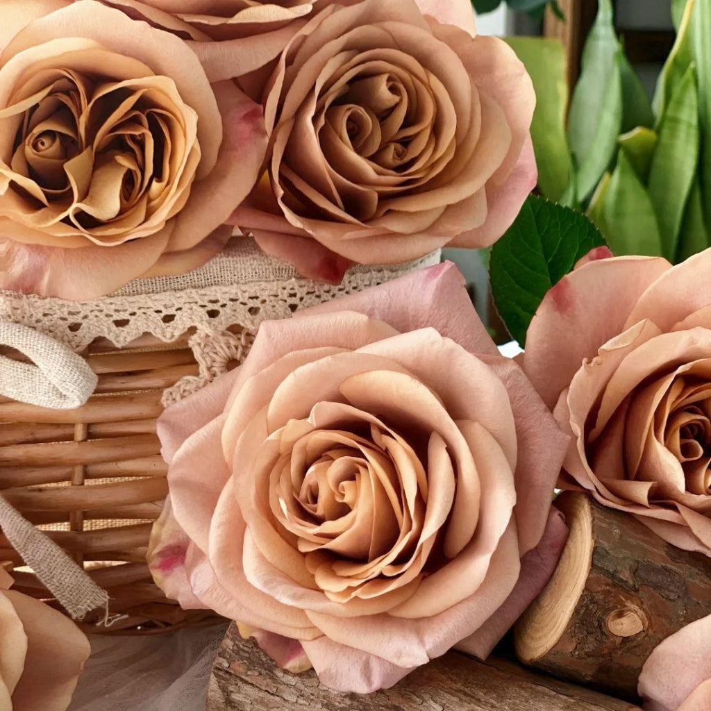 Symbol Rose