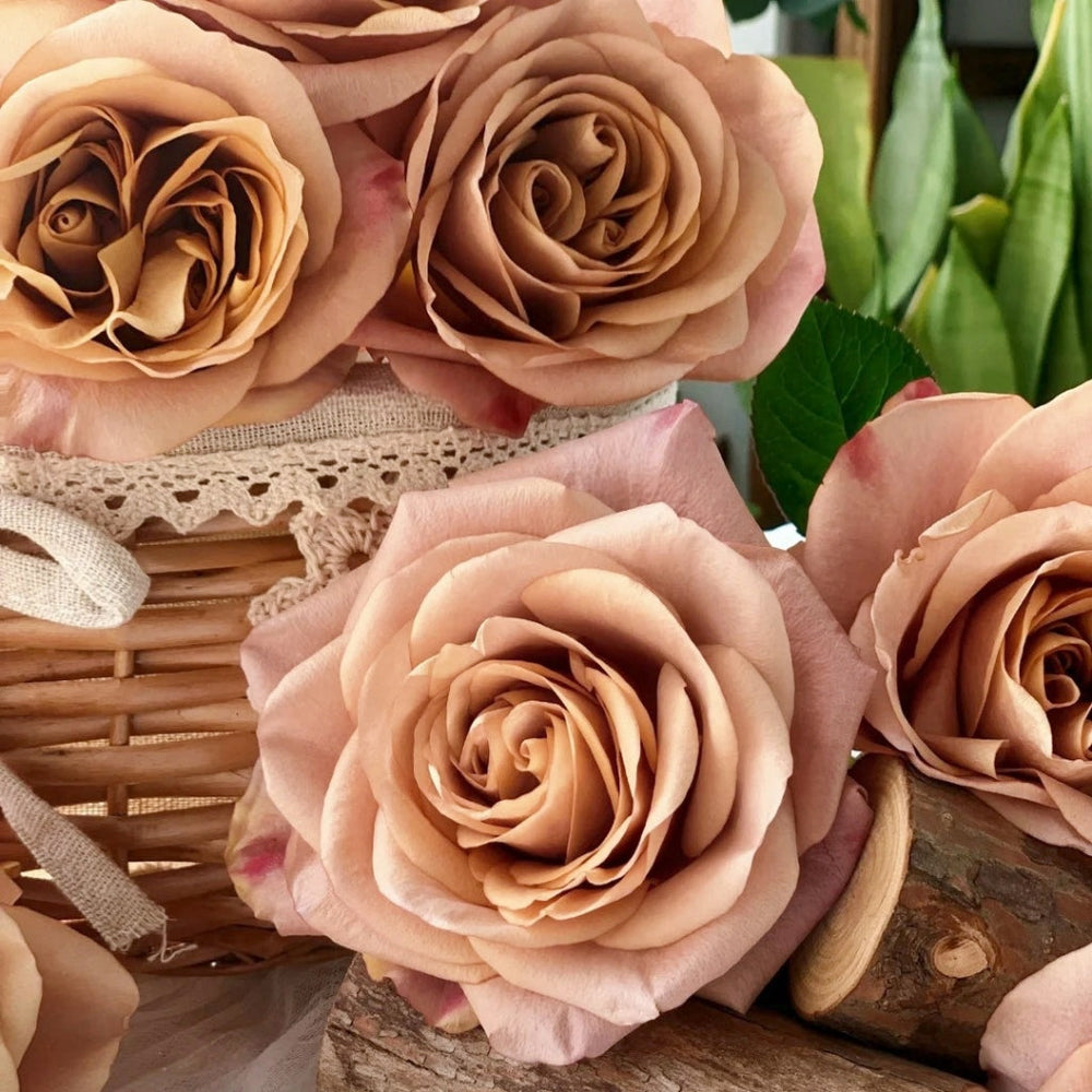 Symbol Rose
