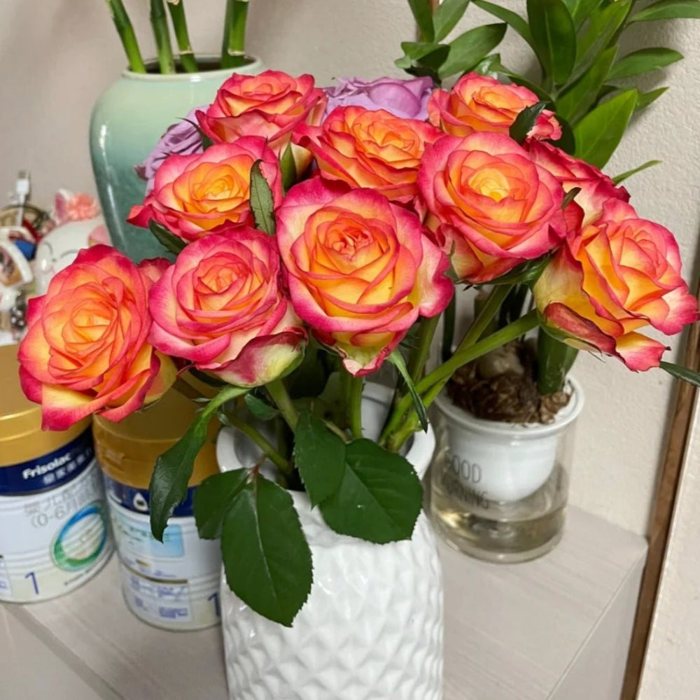 Tao Zhi Yao Yao Rose