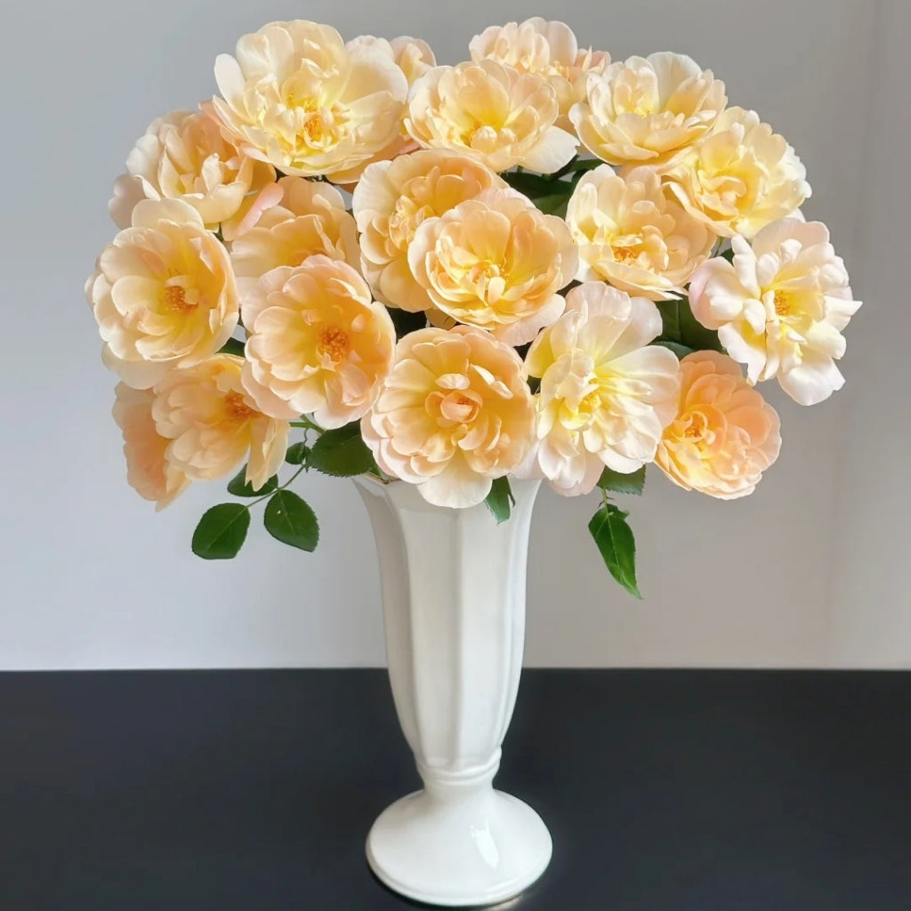 The Lark Ascending Rose