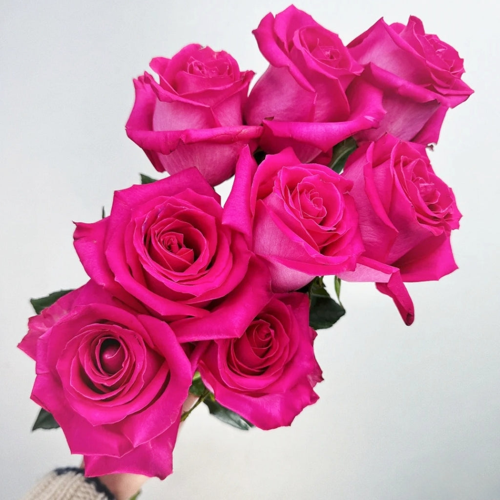 Topaz Rose