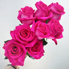 Topaz Rose