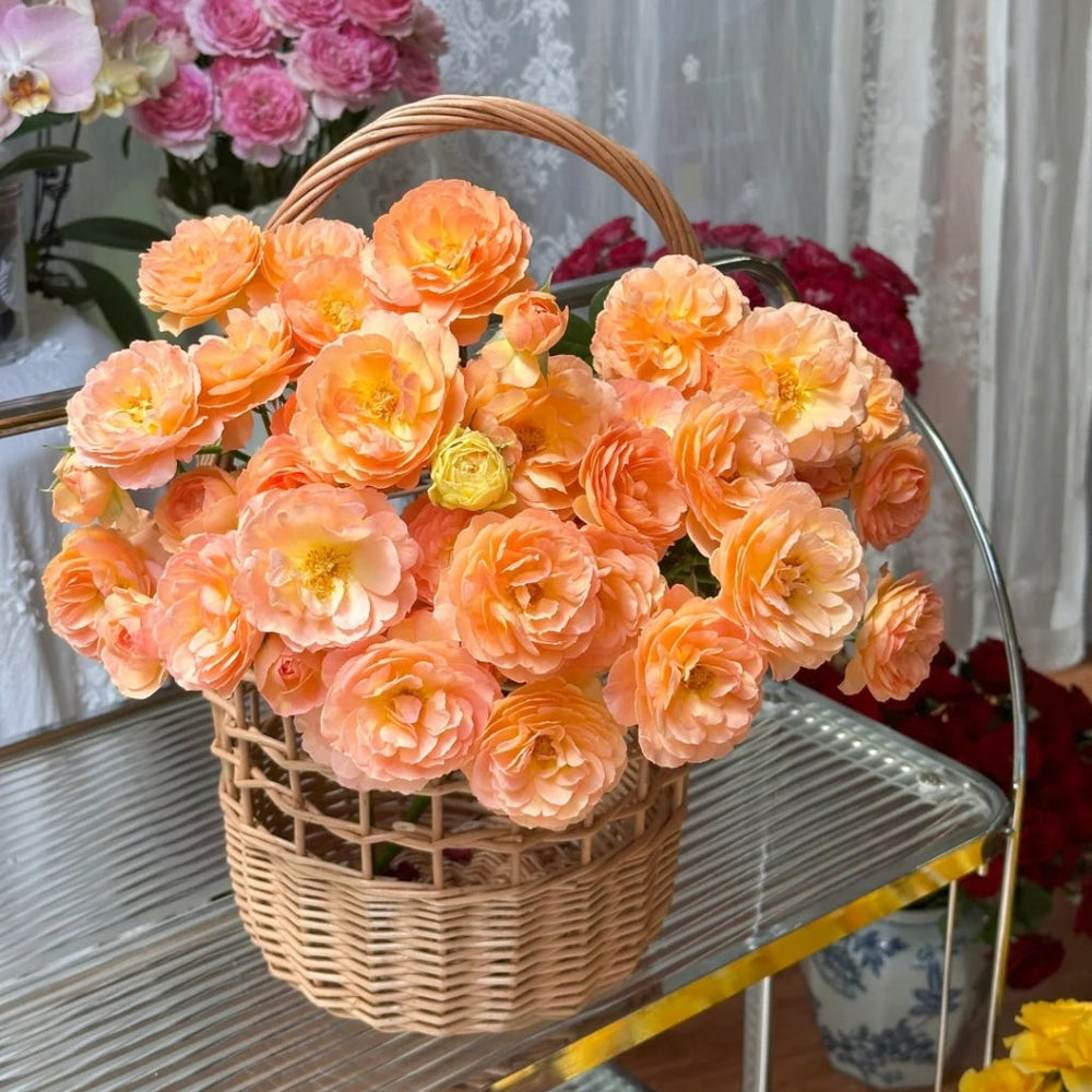 Tsukitohana Rose