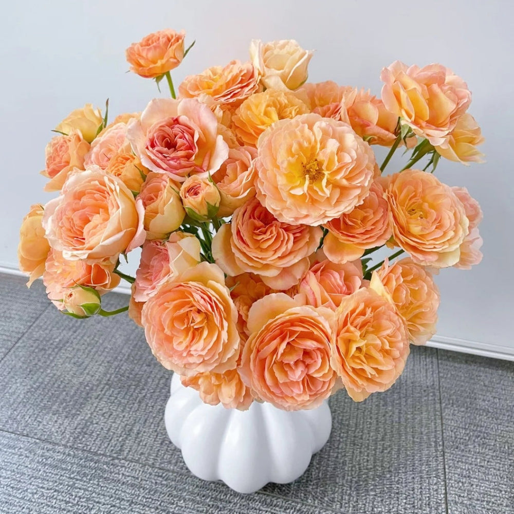 Tsukitohana Rose