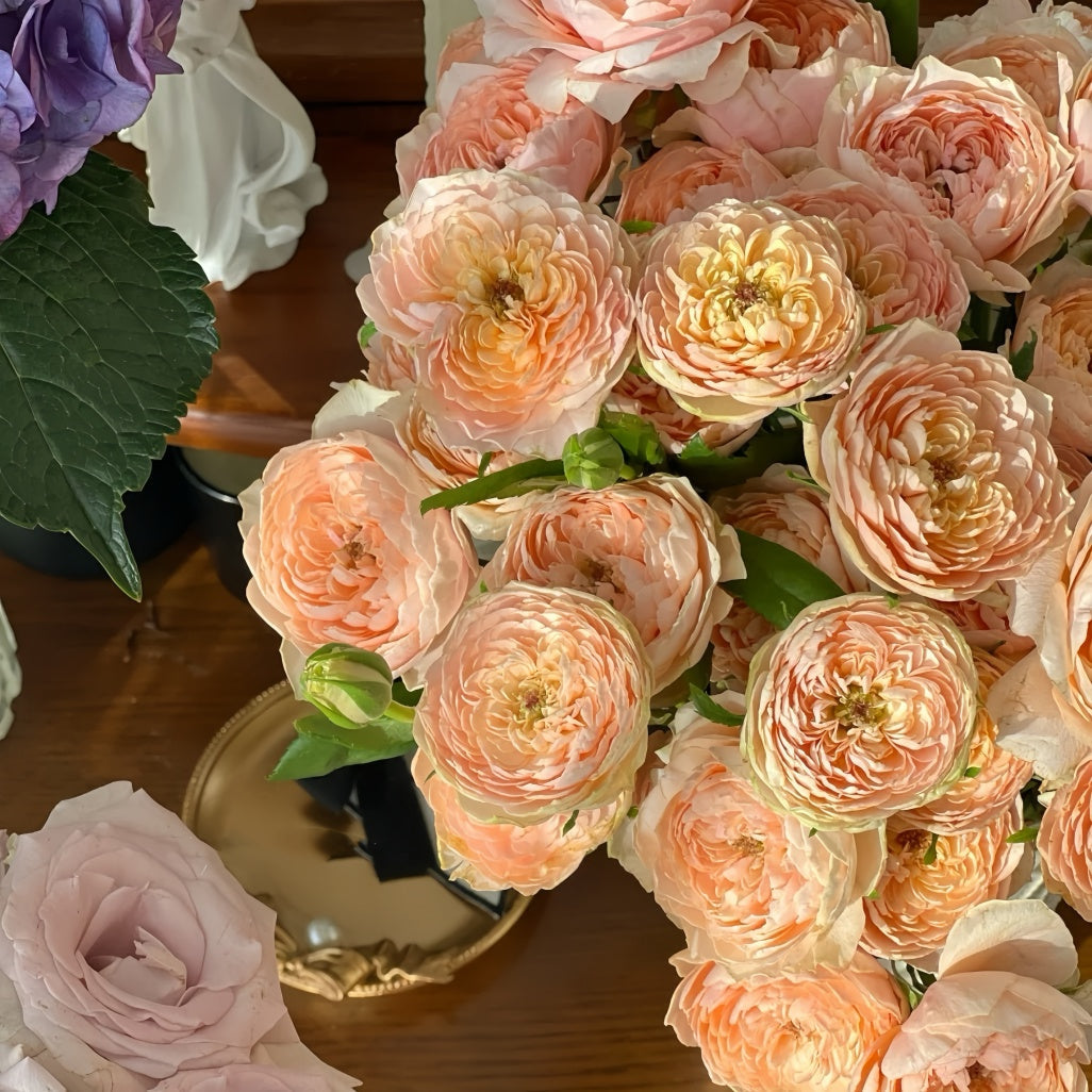 Tsumugi Rose