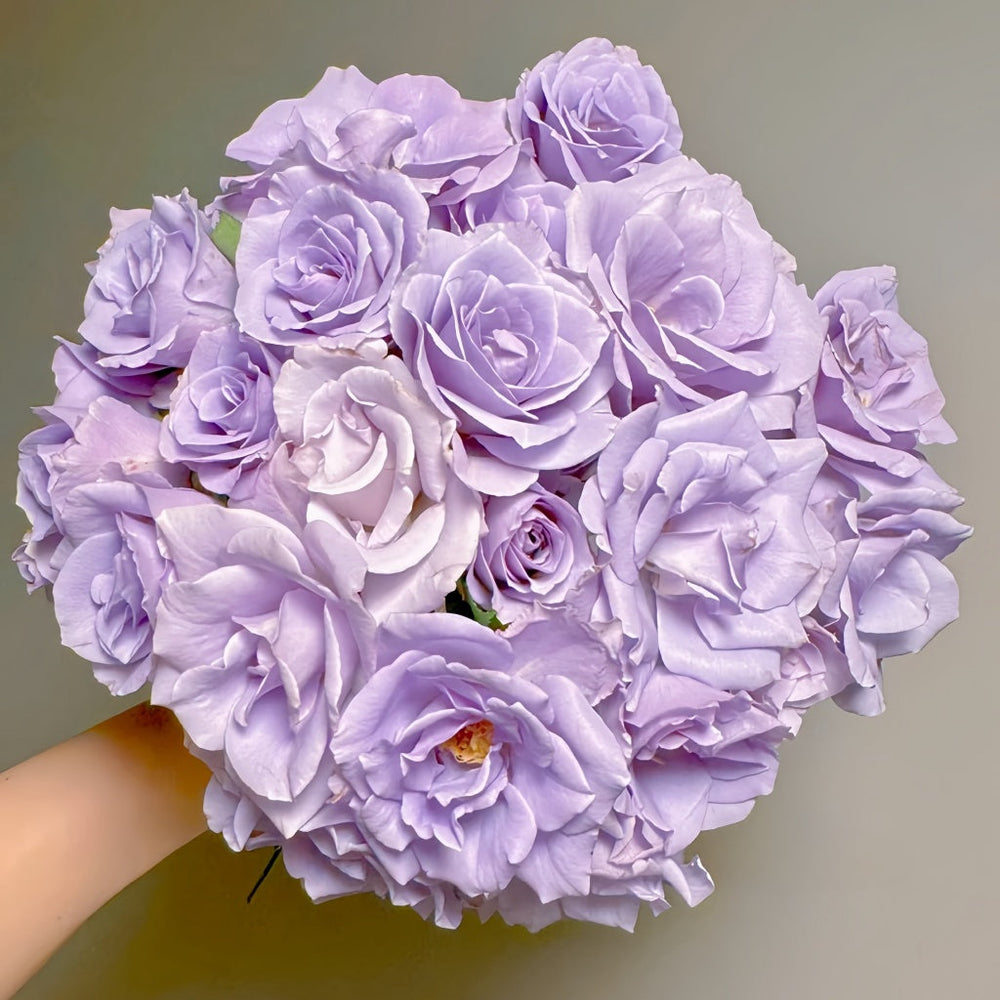 Turn Blue Rose