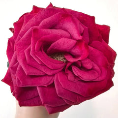 Venturoso Rose