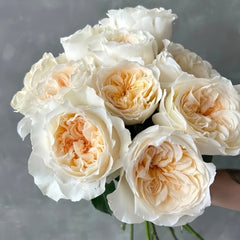 Vicky Garden Rose