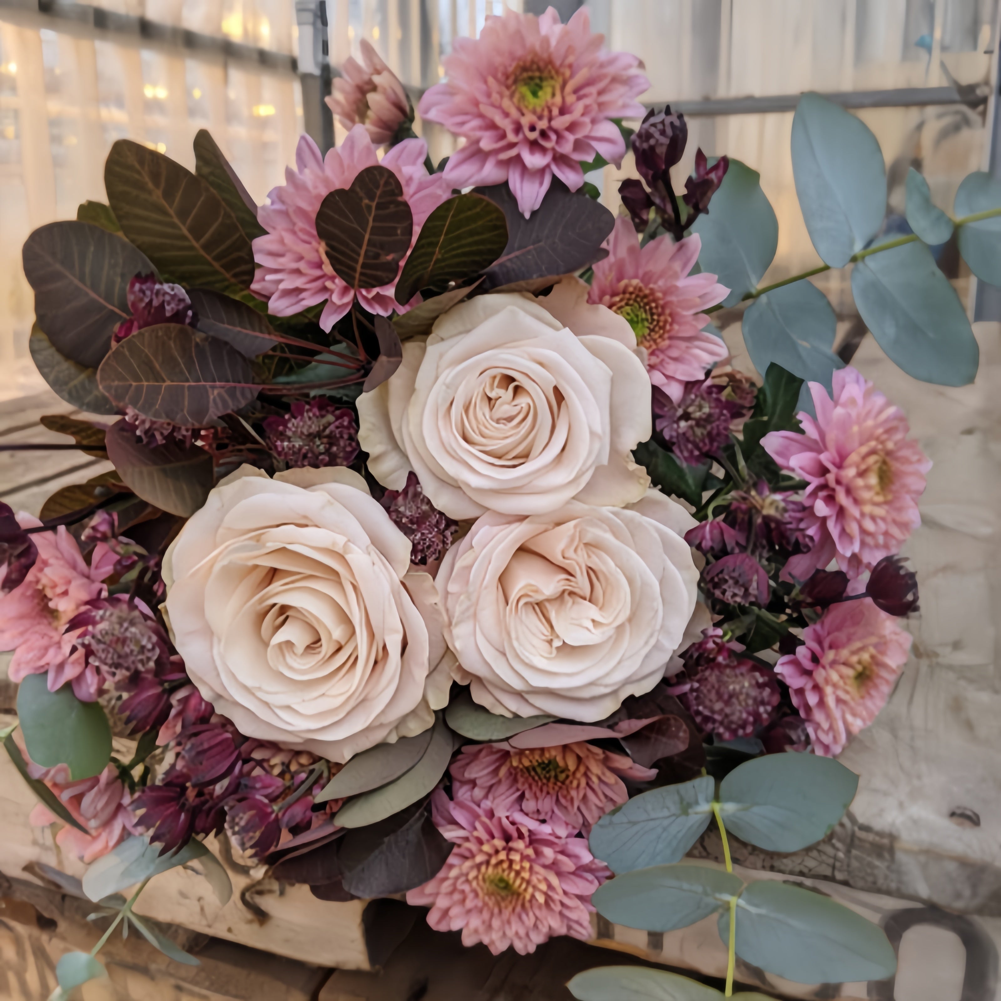 Victorian Dream Rose