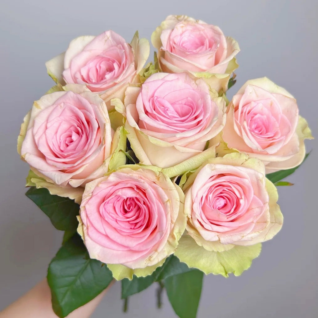 Vitara Rose