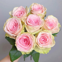 Vitara Rose