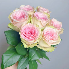 Vitara Rose