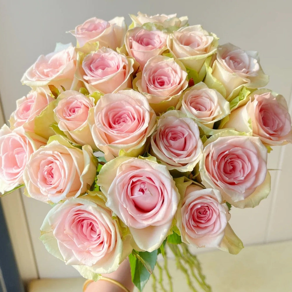 Vitara Rose
