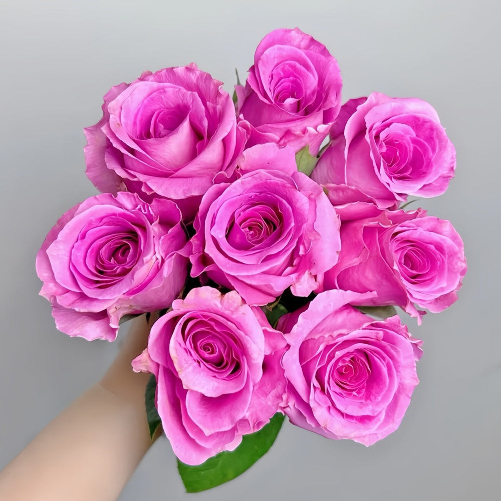 Water Game Rose