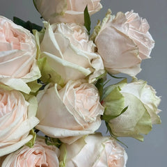 Wedding Spirit Rose
