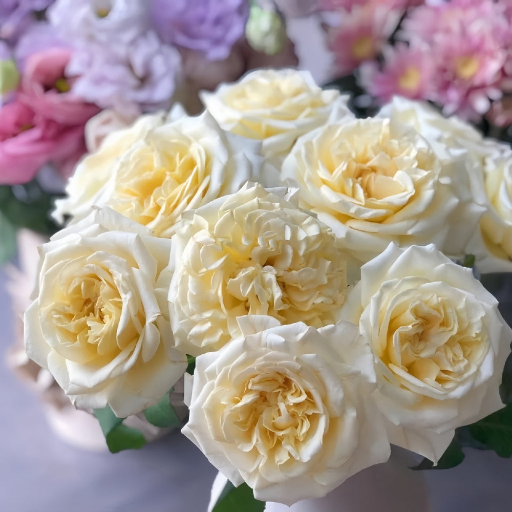 White Ashley Rose