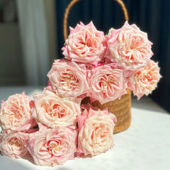 Wild Crown Rose