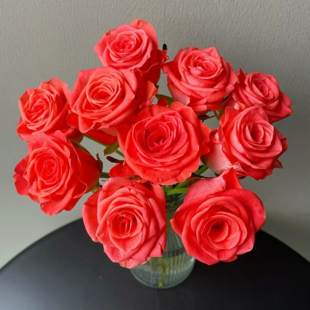 Wow! Rose